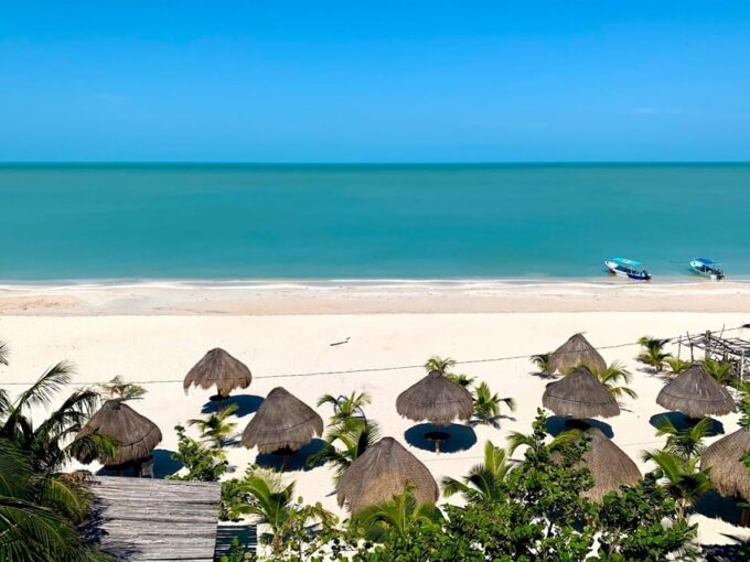 Celestun Beach and Mangrove Boat Ride Experience From Merida - Frequently Asked Questions