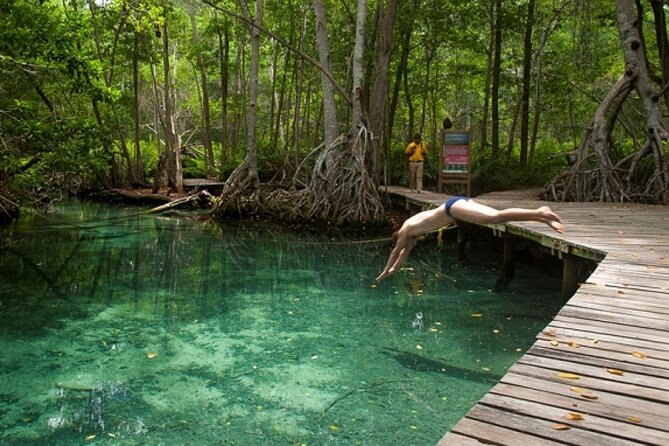 Celestun Beach and Mangrove Boat Ride From Merida - Wildlife Sightings