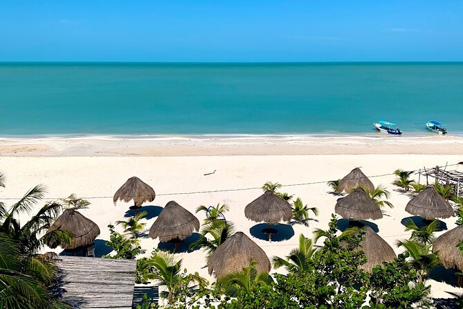 Celestun Beach and Mangrove Boat Ride From Merida - Beach and Lunch
