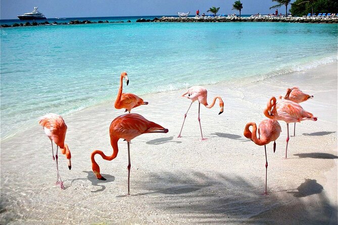 Celestun Beach and Mangrove Boat Ride From Merida - Confirmation and Cancellation