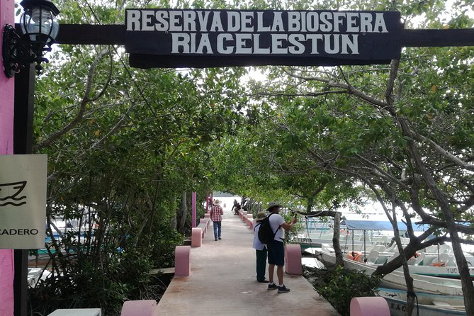 Celestun Biosphere Reserve Tour From Merida - Tour Inclusions