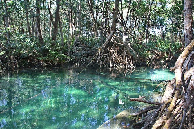 Celestun Biosphere Reserve Tour From Merida - Pricing and Offers