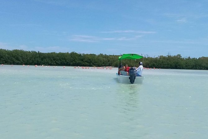 Celestun Biosphere Reserve Tour From Merida - Wildlife and Nature Experiences