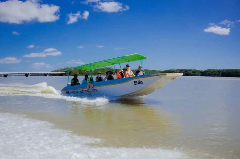 Celestún Flamingos, Beach, and Seafood Lunch Tour from Merida - Starting Point and Early Morning Logistics