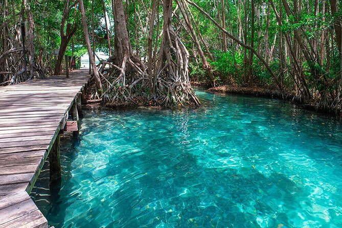 Celestun Mangrove Boat Tour From Mérida - Exploring the Celestun Mangrove by Boat