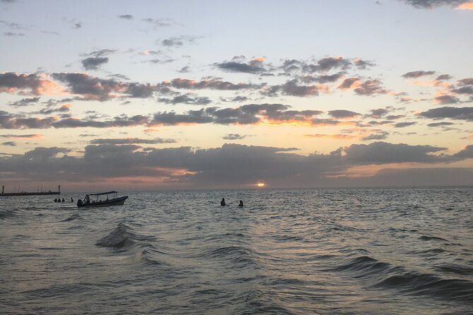 Celestun Mangrove Boat Tour From Mérida - Frequently Asked Questions