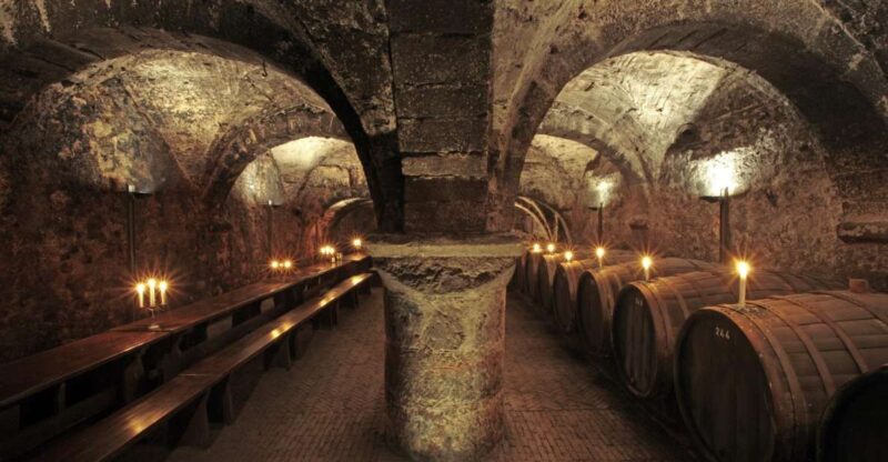 Cellar Exploration Tour of the Oldest Winery Cellar in Germany - Key Points