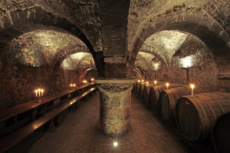 Cellar Exploration Tour of the Oldest Winery Cellar in Germany - Tour Highlights