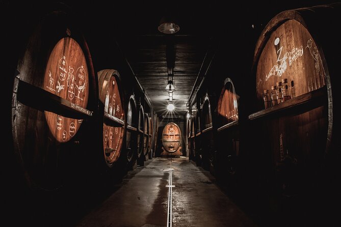 Cellar Visit and 100% Immersive Vegetarian Meal to Strasbourg - Unravel the Experience Details