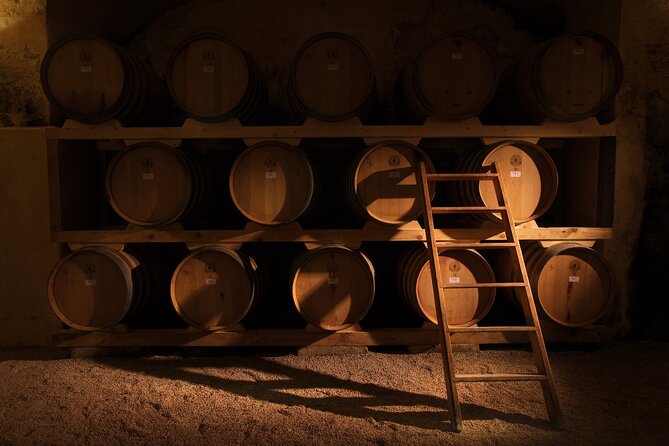 Cellar Visit and Wine Tasting in Salento - Key Points