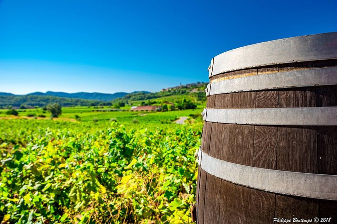Cellar Visit & Bandol Wine Tasting - Inclusions and Meeting Point