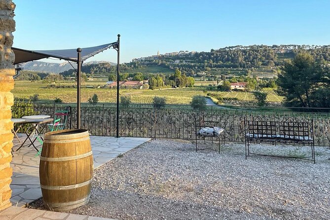 Cellar Visit & Bandol Wine Tasting - Group Size and Operator