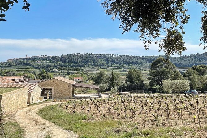Cellar Visit & Bandol Wine Tasting - Bandol Wines and Country Wines
