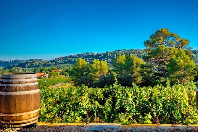 Cellar Visit & Bandol Wine Tasting - Highlights of the Visit