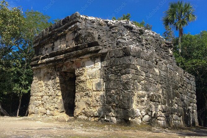 Cenote and Ancient Mayan Ruins Tour with Tequila in Cozumel - Review Highlights from Participants