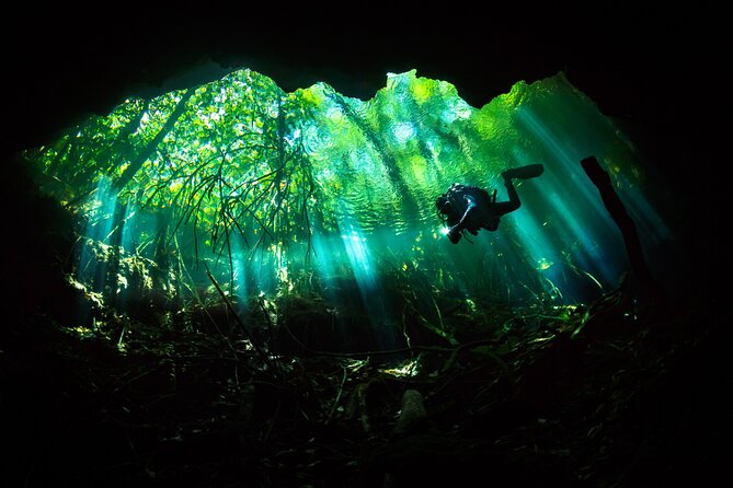 Cenote Diving - 2 Tank Dive Trip for Certified Divers - Cenote Entrance Fees