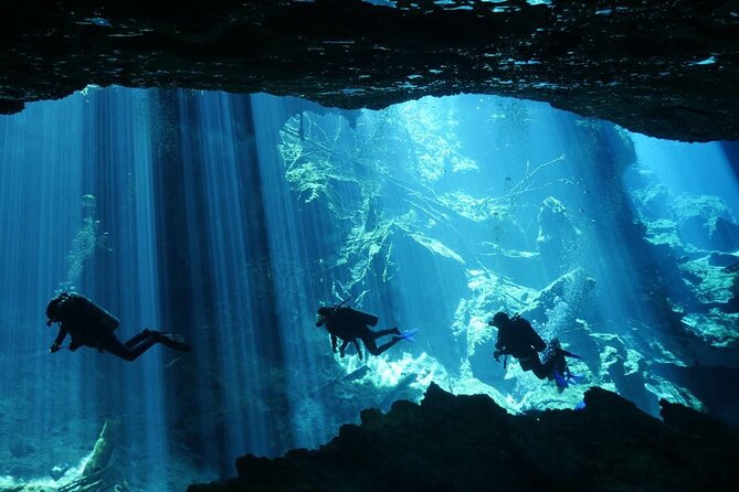 Cenote Diving - 2 Tank Dive Trip for Certified Divers - Meeting and Pickup Details