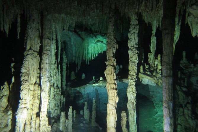 Cenote Diving Dream Gate - Diving Into Playa Del Carmens Wonders