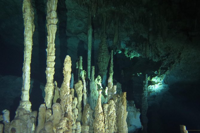 Cenote Diving Dream Gate - Preparing for the Cenote Dive Adventure