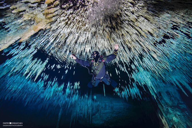 Cenote Diving Dream Gate - Uniqueness of the Cenote Dream Gate