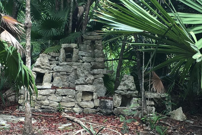 Cenote, Jungle, Bike & Lunch - Inclusions