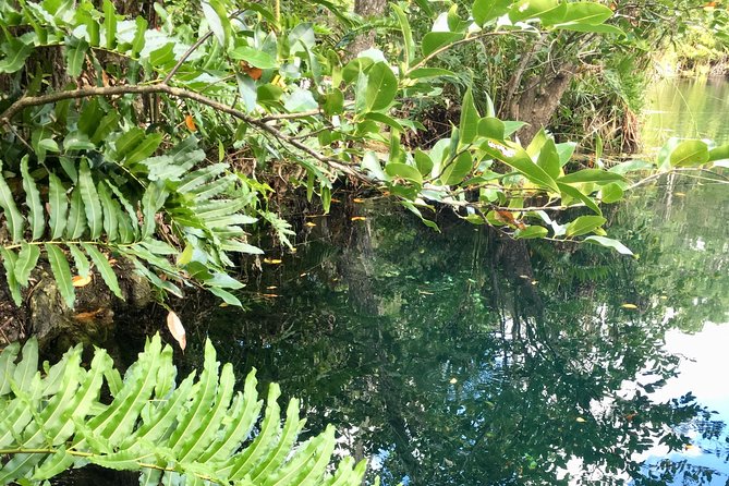 Cenote, Jungle, Bike & Lunch - Meeting Point