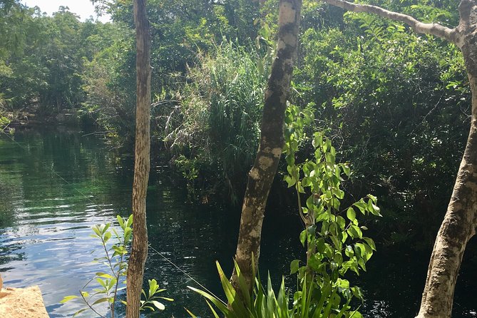 Cenote, Jungle, Bike & Lunch - Cancellation Policy