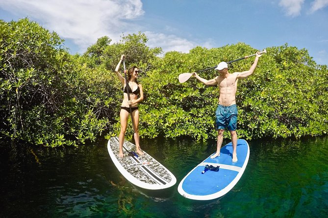 Cenote Paddleboarding and Snorkeling in Tulum - Paddleboarding in Clear Waters