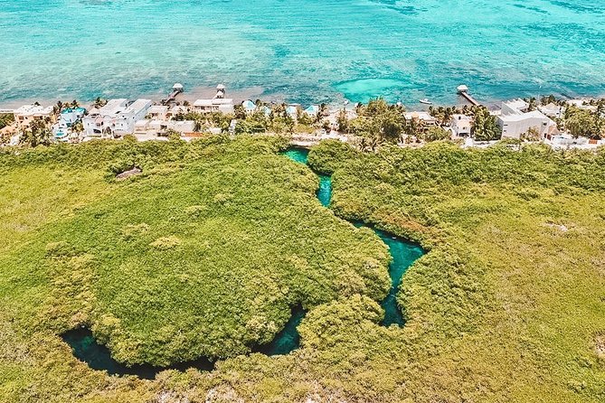 Cenote Paddleboarding and Snorkeling in Tulum - Personalizing the Snorkeling Experience