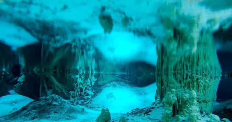Cenote Paradise Lagoon - Key Points