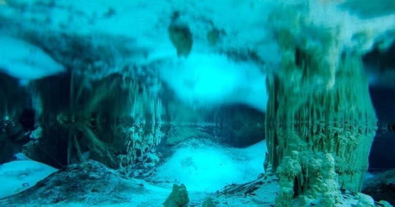 Cenote Paradise Lagoon - Detailed Description