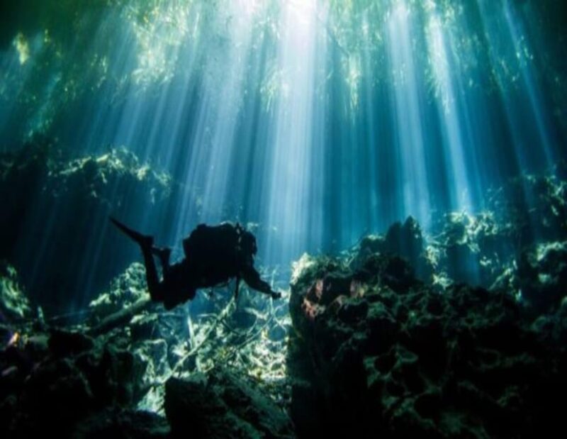 Cenote PRO Just for Experts - Booking and Cancellation Policy