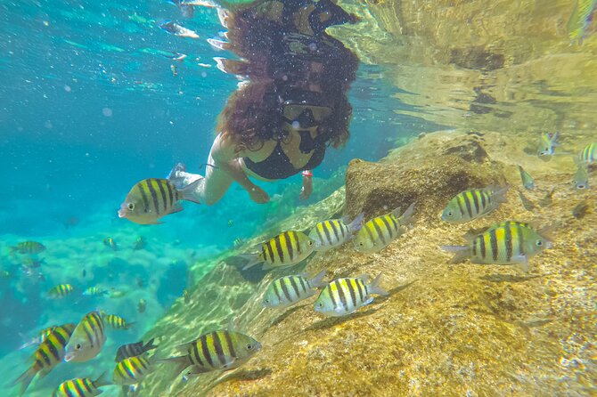 Cenote; Snorkeling and Photos With Colorful Fish - The Enchanting Cenote
