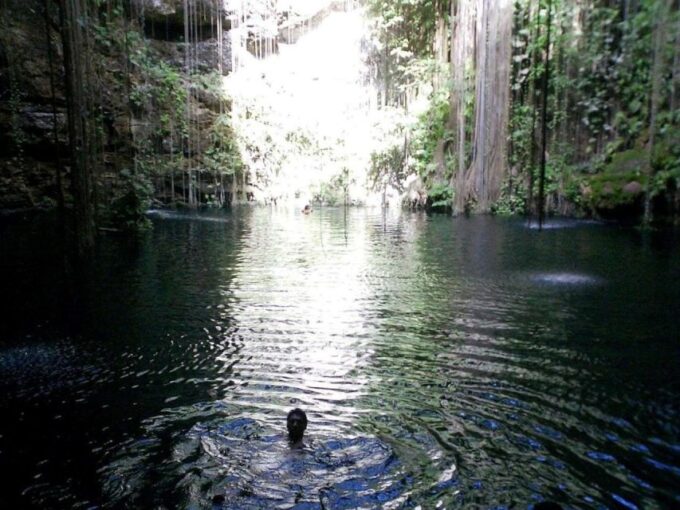 Cenote Tulum Tour: Snorkel in a Lagoon and Discover Caverns - Cancellation and Refund Policy