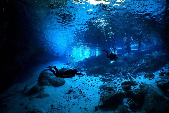 Cenotes 2-Tank Dive in Playa Del Carmen/For Certified Divers Only - Dive Certification and Prerequisites