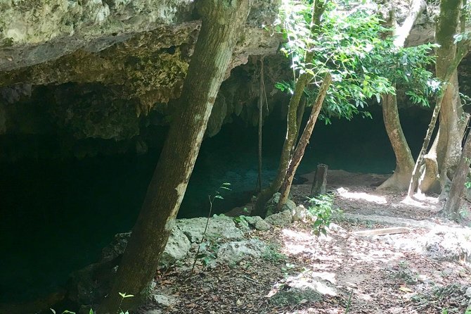 Cenotes Bike Tour With Food - Cuisine and Dining