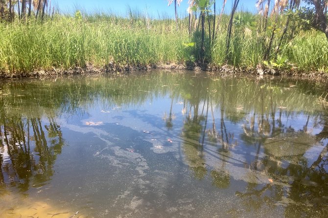 Cenotes Bike Tour With Food - Sustainability Practices