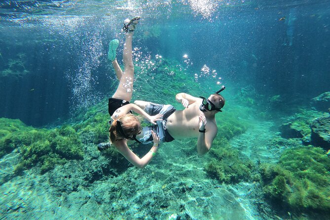Cenotes by Bike and Mayan Cooking Class Half-Day Guided Tour - Health and Accessibility