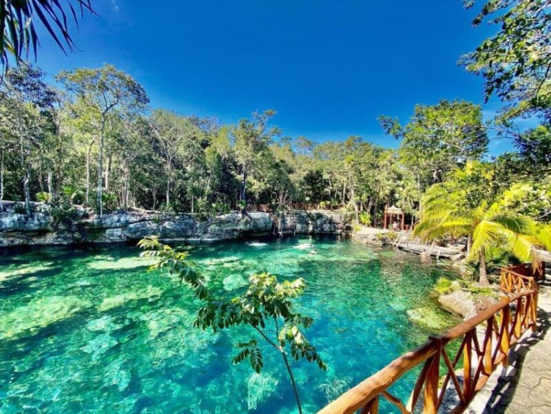 Cenotes Casa Tortuga Tulum: National Park Guided Tour - Customer Feedback