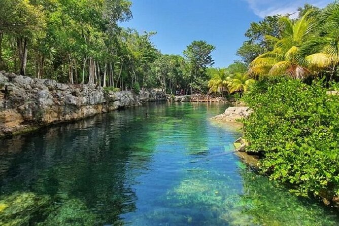 Cenotes Casa Tortugas Tour - Participation Information