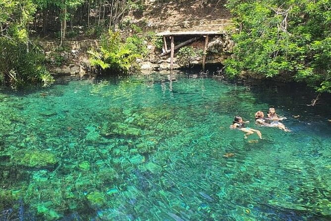 Cenotes Casa Tortugas Tour - Exploring the Cenotes