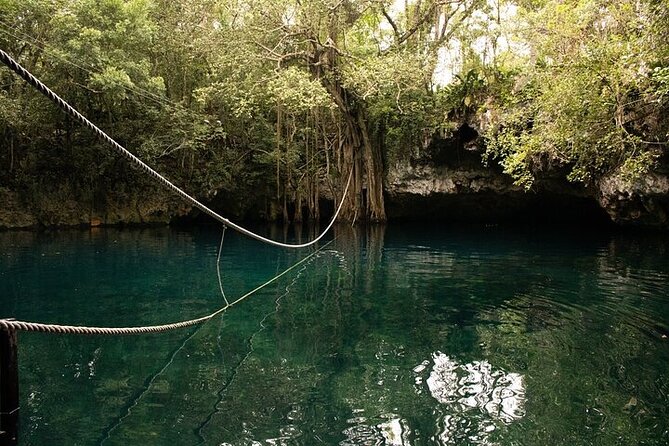 Cenotes Excursion Natures Paradise 45 Minutes From Cancun! - Traveler Experiences and Reviews