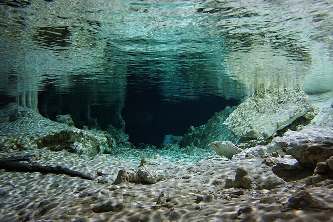 Cenotes Private Tour VIP - Private Transport