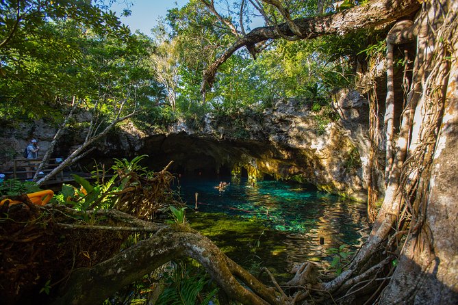 Cenotes Trail Jungle Bike Tour in Tulum With Lunch - Spectacular Jungle Cycling Vistas