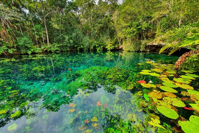 Cenotes Trail Jungle Bike Tour in Tulum With Lunch - Accessibility and Medical Considerations