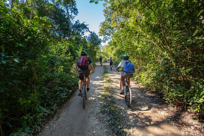 Cenotes Trail Jungle Bike Tour in Tulum With Lunch - Eco-Friendly Precautions and Policies