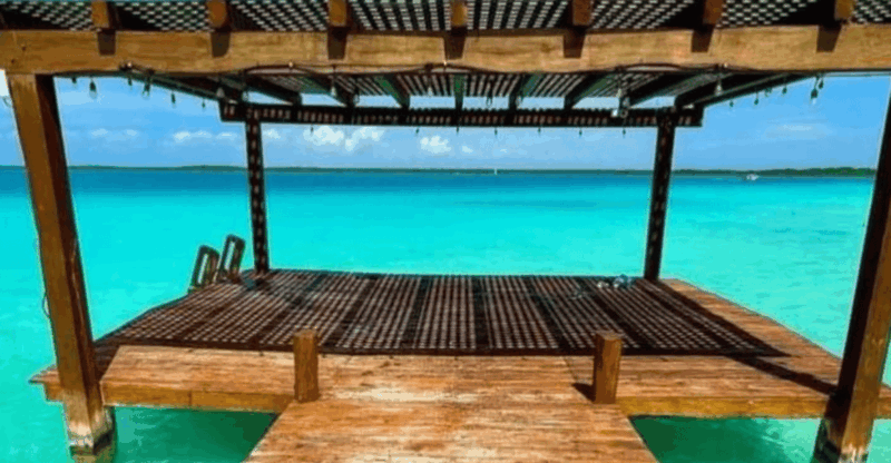 Cenotes, Turtles and Beach Club - Experience Highlights
