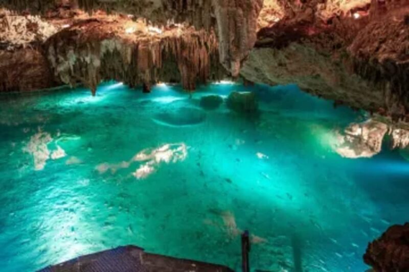 Cenotes, Turtles and Beach Club - Pricing and Booking