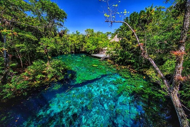 Cenotes, Zip Lines and Mayan Community - Mayan Community Experience