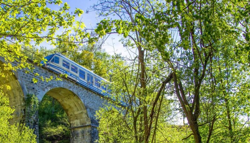 Centovalli Express: Scenic Rail Between Camedo & Domodossola - Booking and Pricing Details